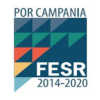 fesr